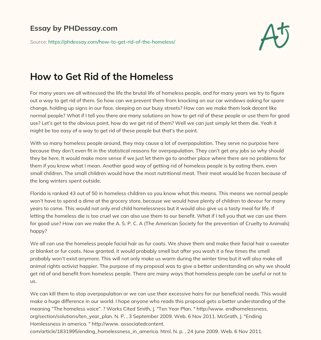 How to Get Rid of the Homeless essay