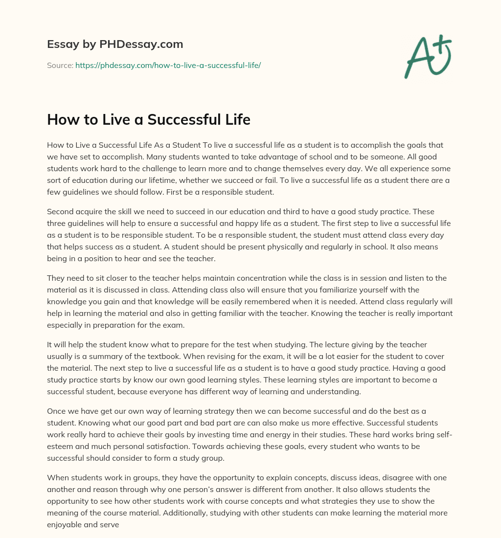 How to Live a Successful Life essay
