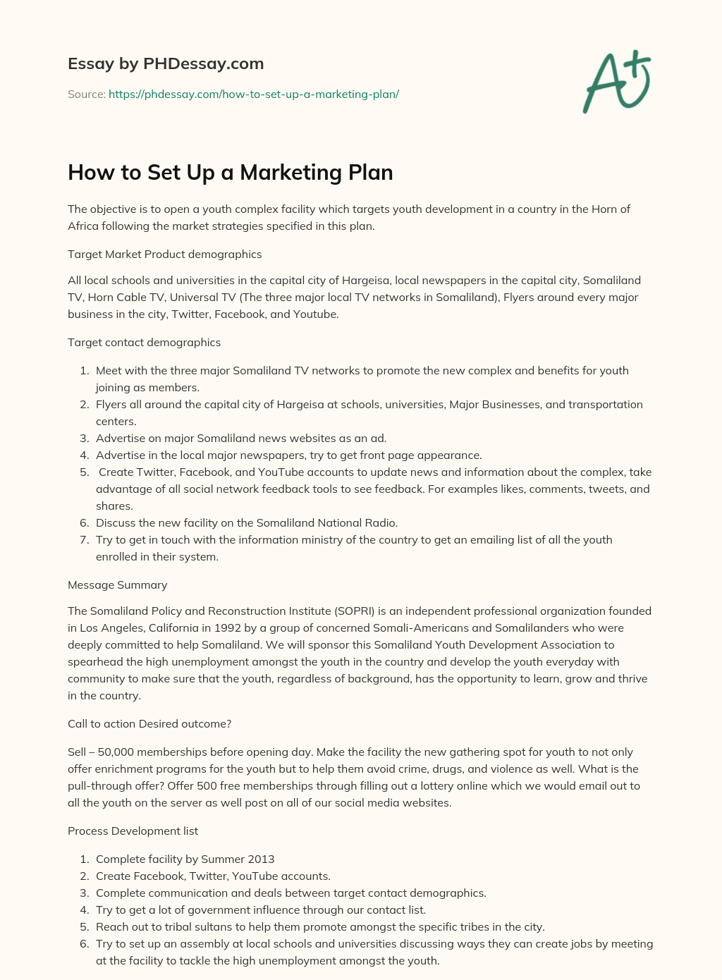 How to Set Up a Marketing Plan essay