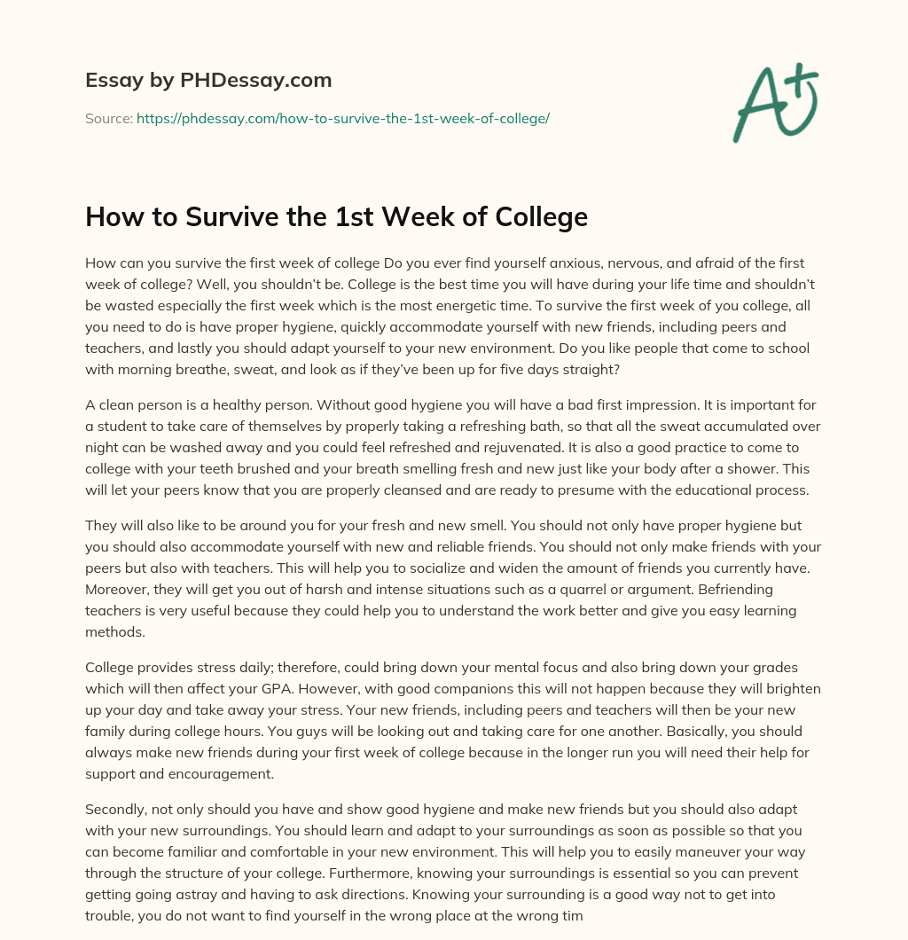 How to Survive the 1st Week of College essay