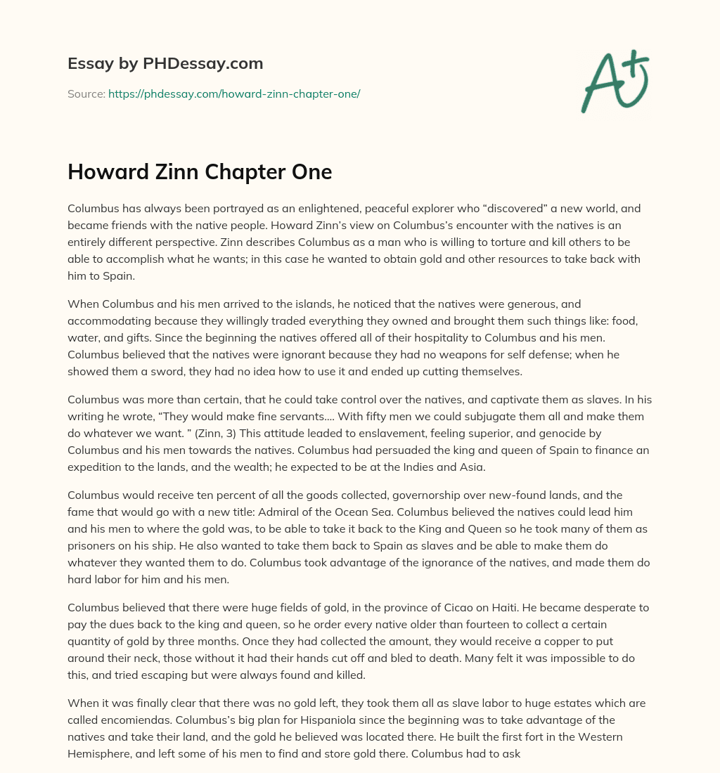 Howard Zinn Chapter One essay