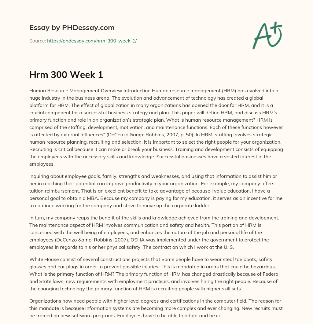 Overview of Human Resource Management’s Role in Business Strategy essay