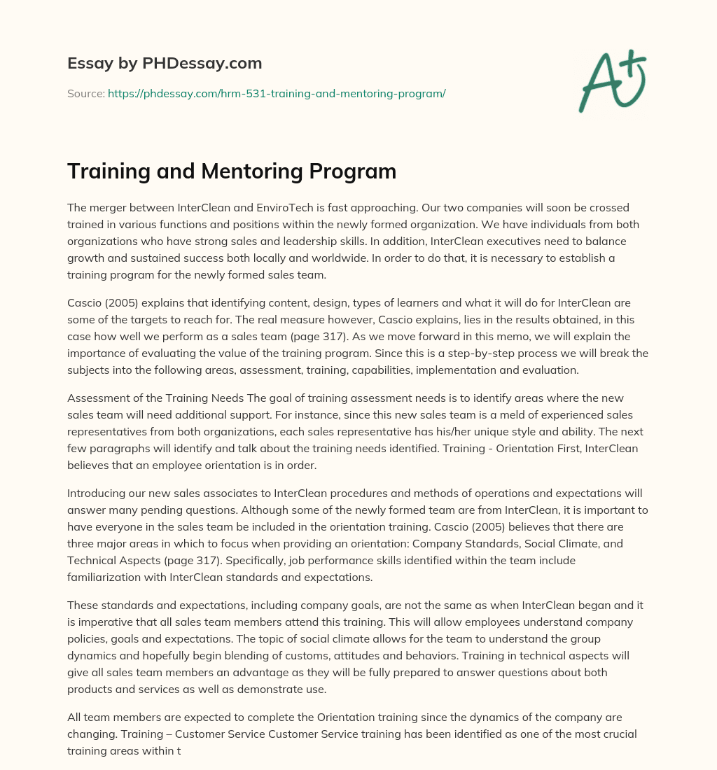 Training and Mentoring Program essay