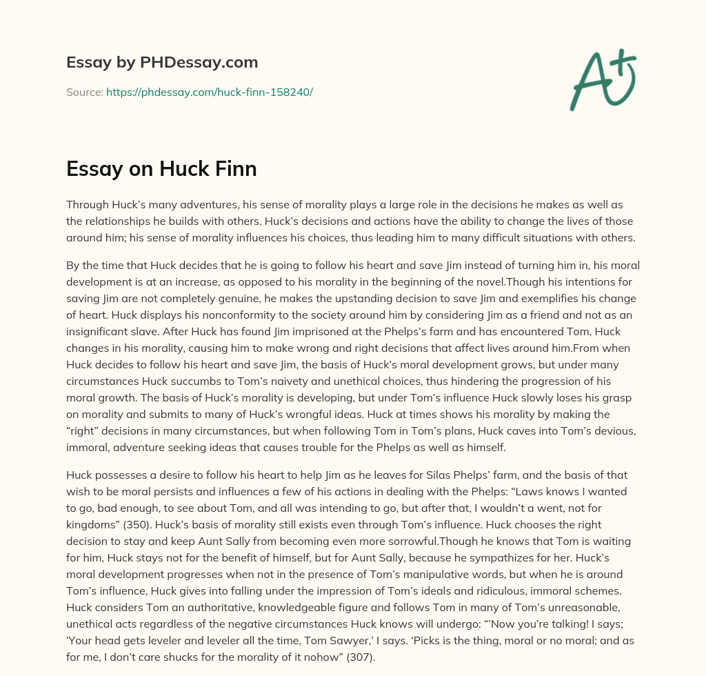 Essay on Huck Finn essay