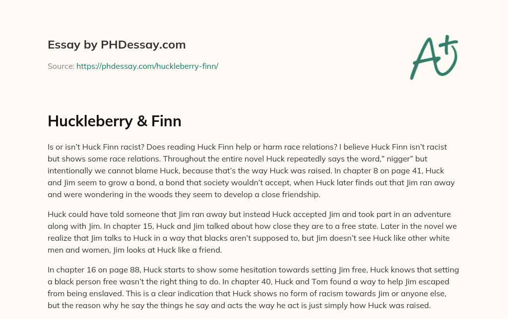 Huckleberry & Finn essay