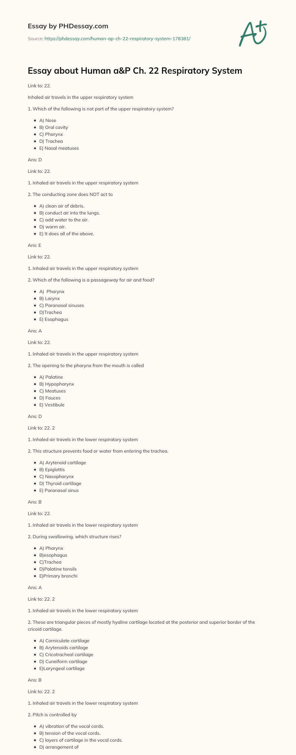 Essay about Human a&P Ch. 22 Respiratory System essay