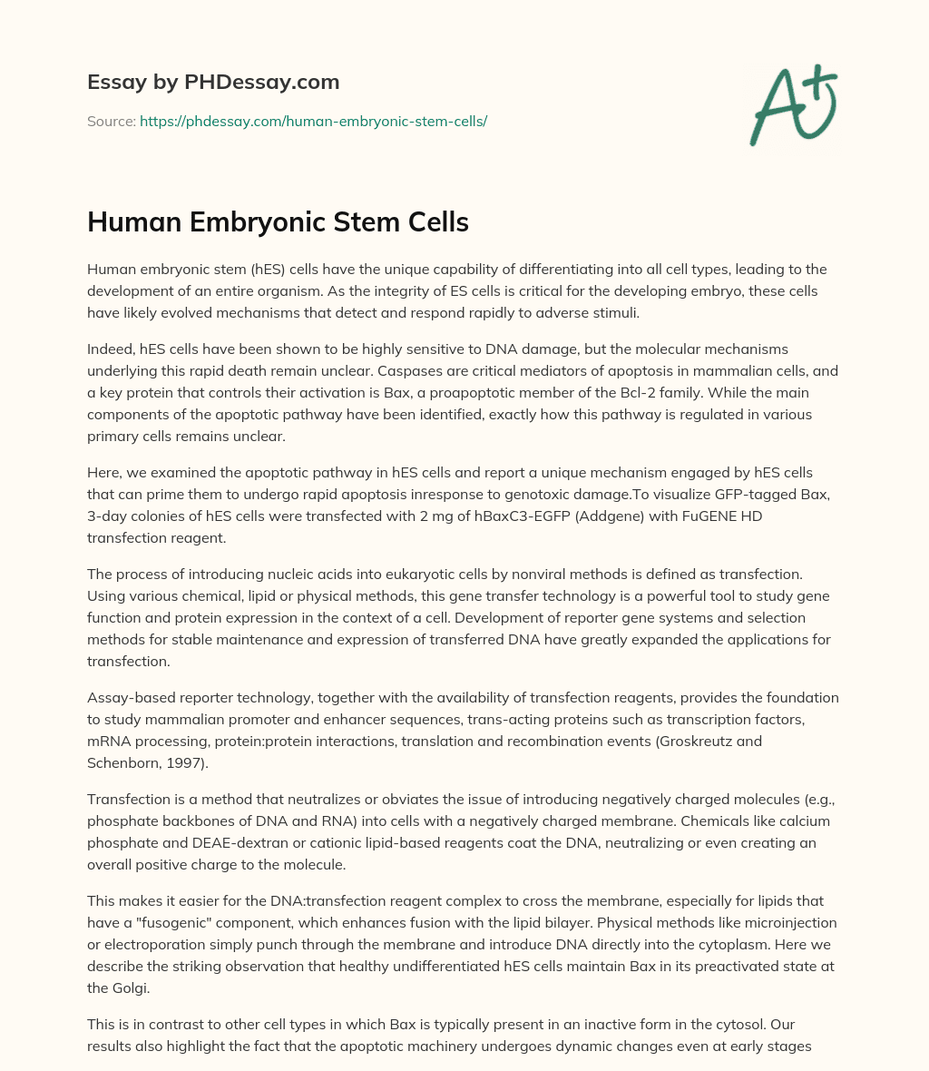 Human Embryonic Stem Cells essay