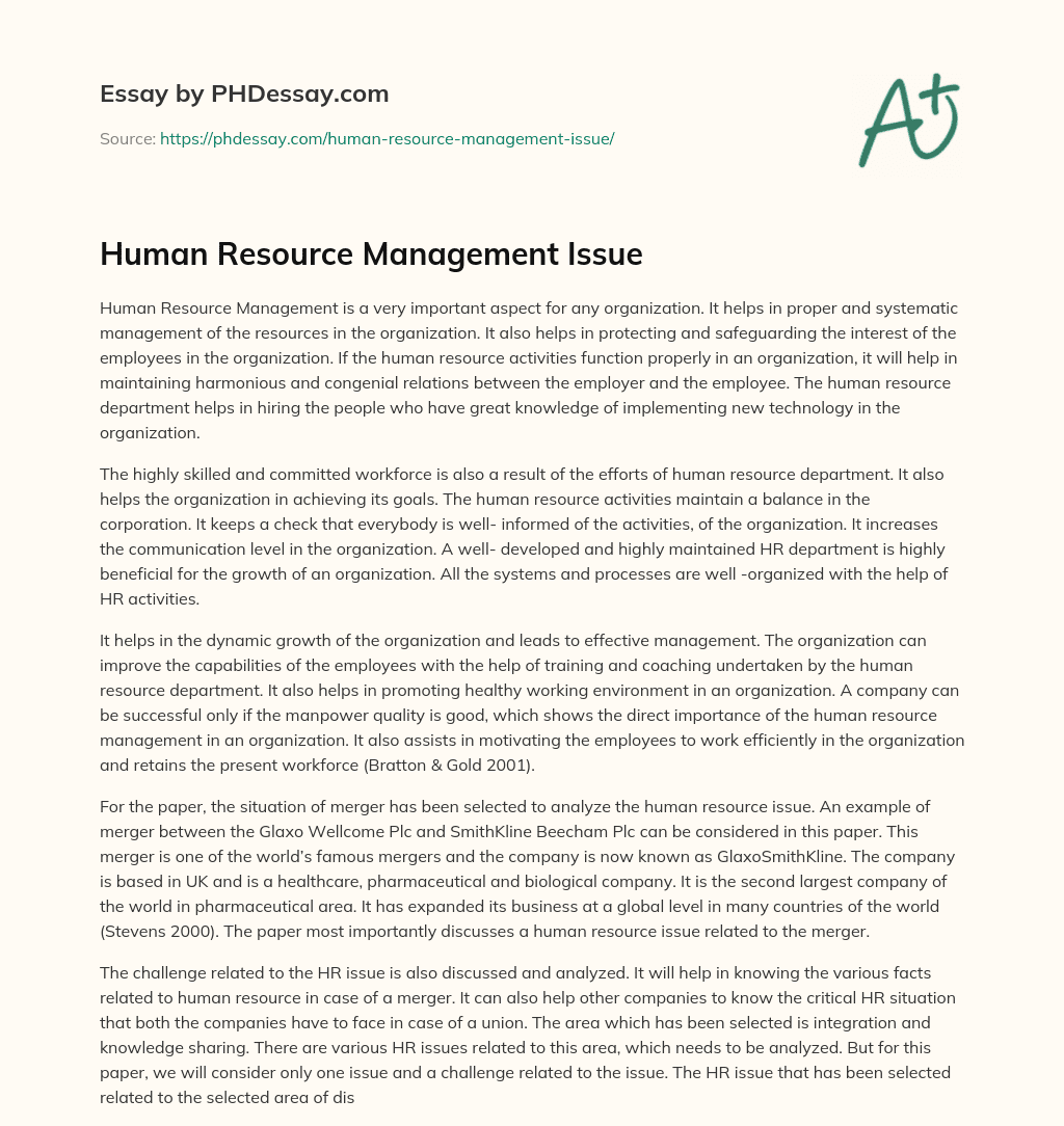 Human Resource Management Issue essay