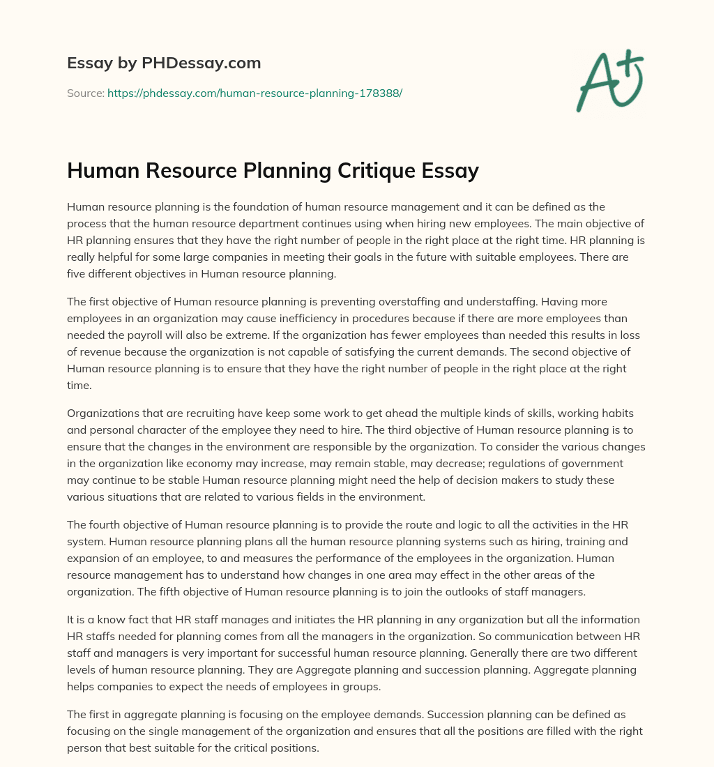 Human Resource Planning Critique Essay essay