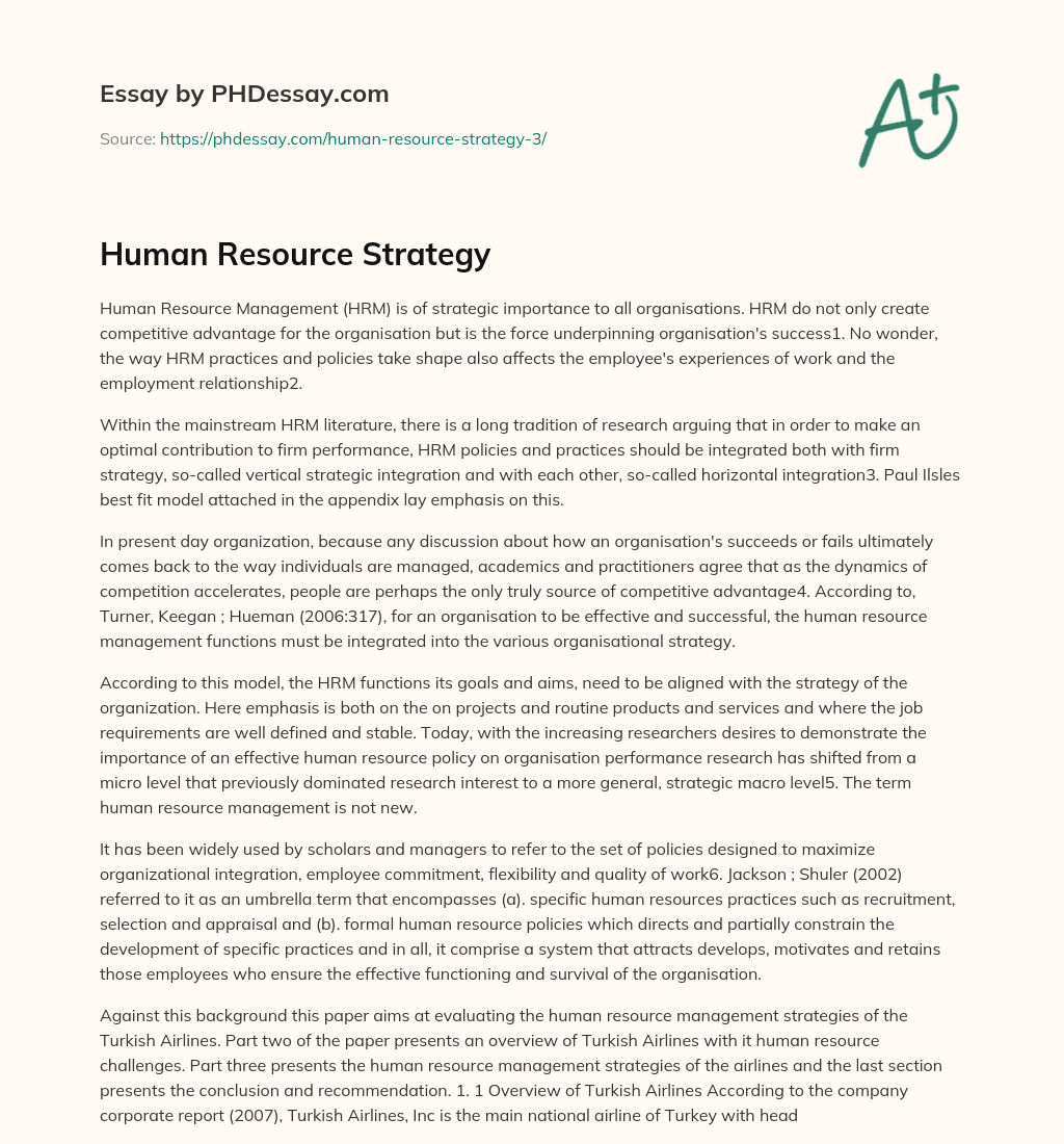 Human Resource Strategy essay