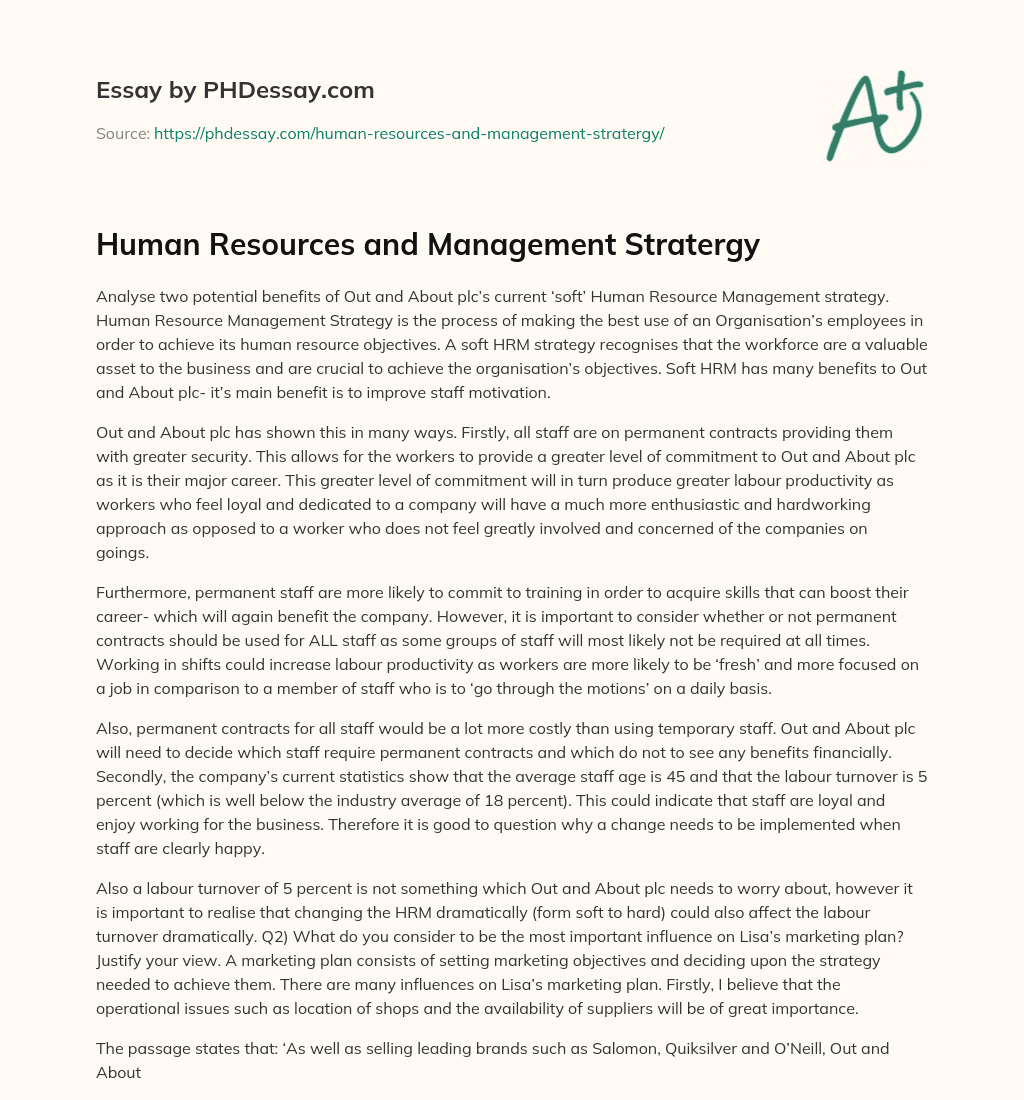 Human Resources and Management Stratergy essay