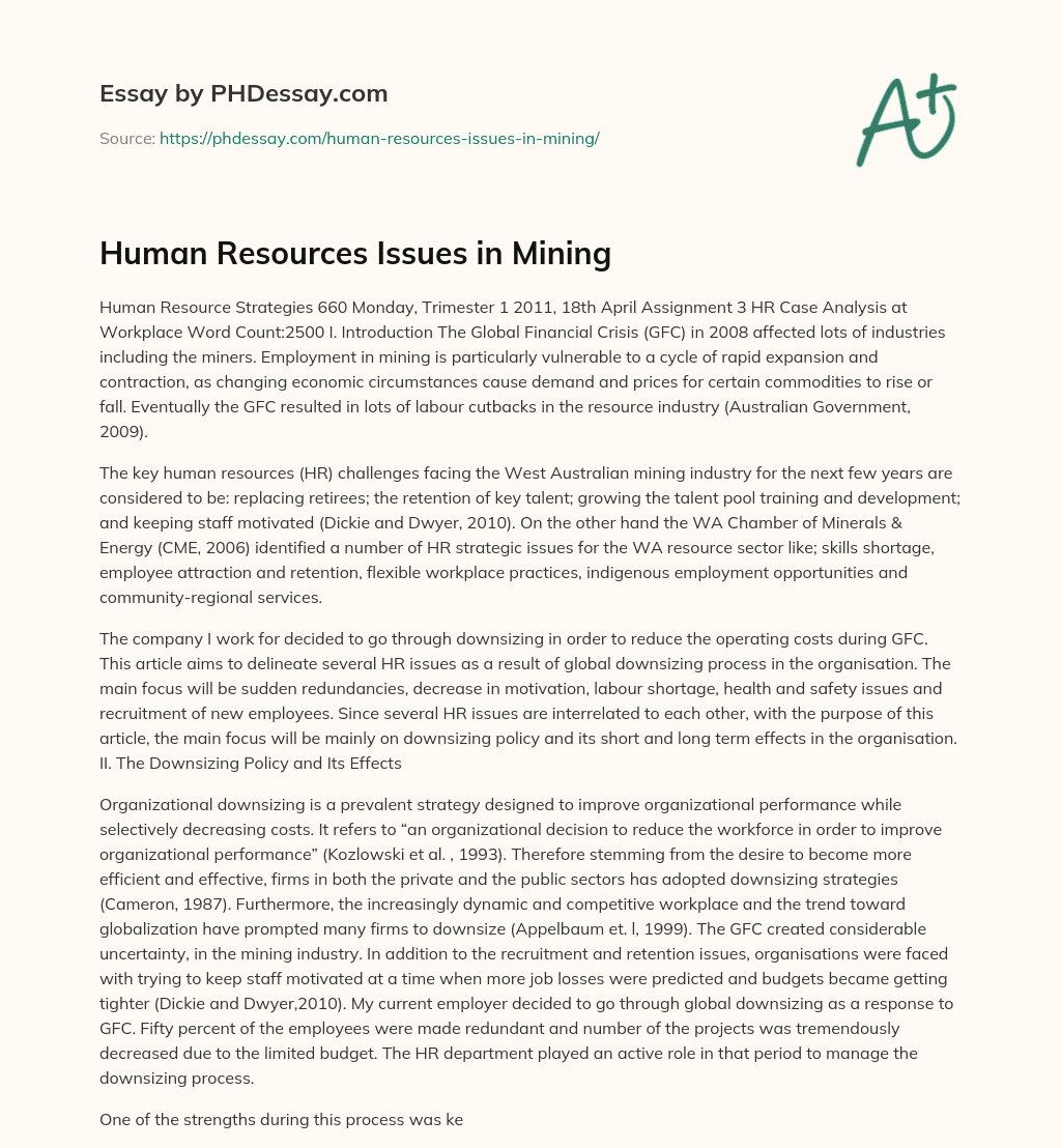 Human Resources Issues in Mining essay
