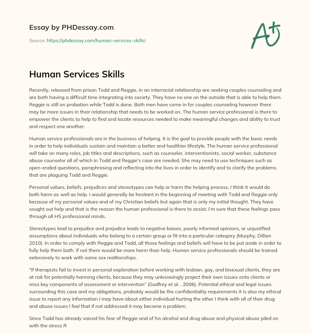Human Services Skills essay