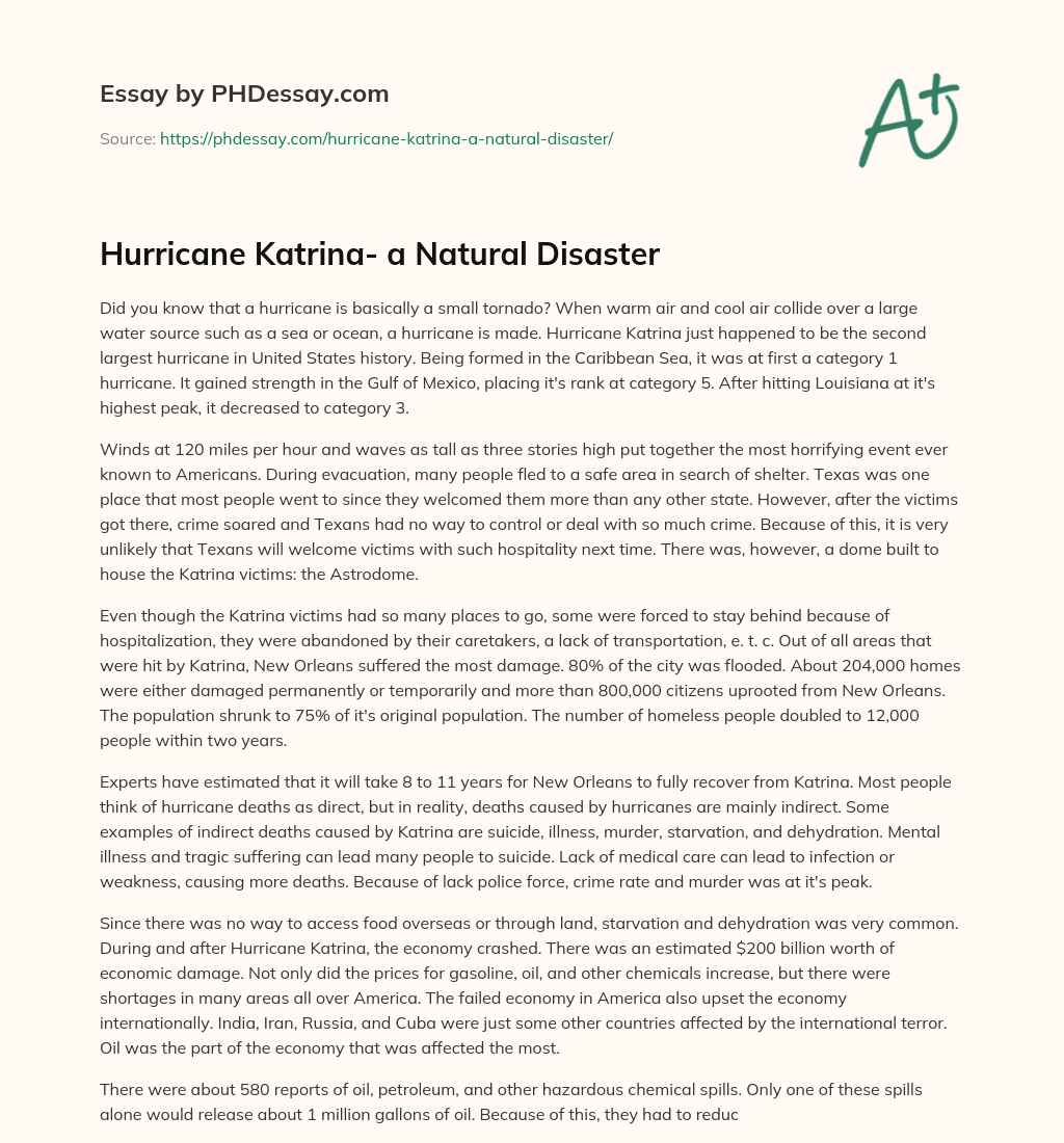Hurricane Katrina- a Natural Disaster essay