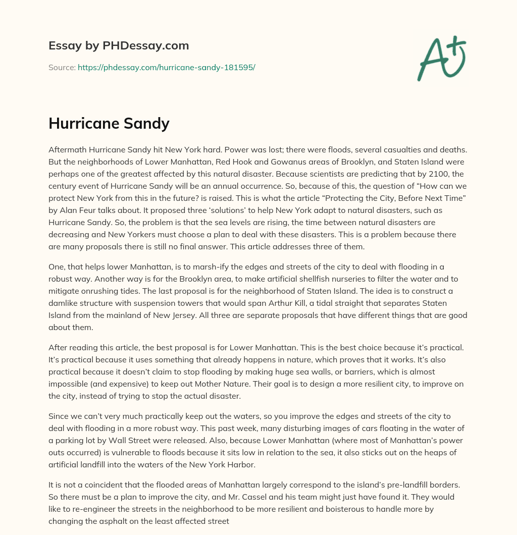 Hurricane Sandy essay