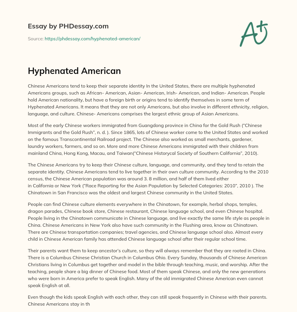 Hyphenated American essay
