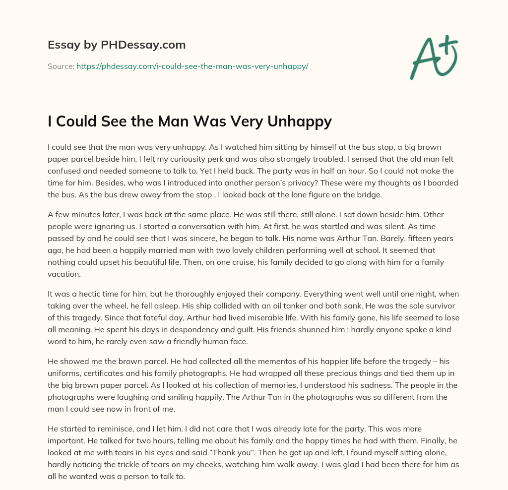 I Could See the Man Was Very Unhappy essay