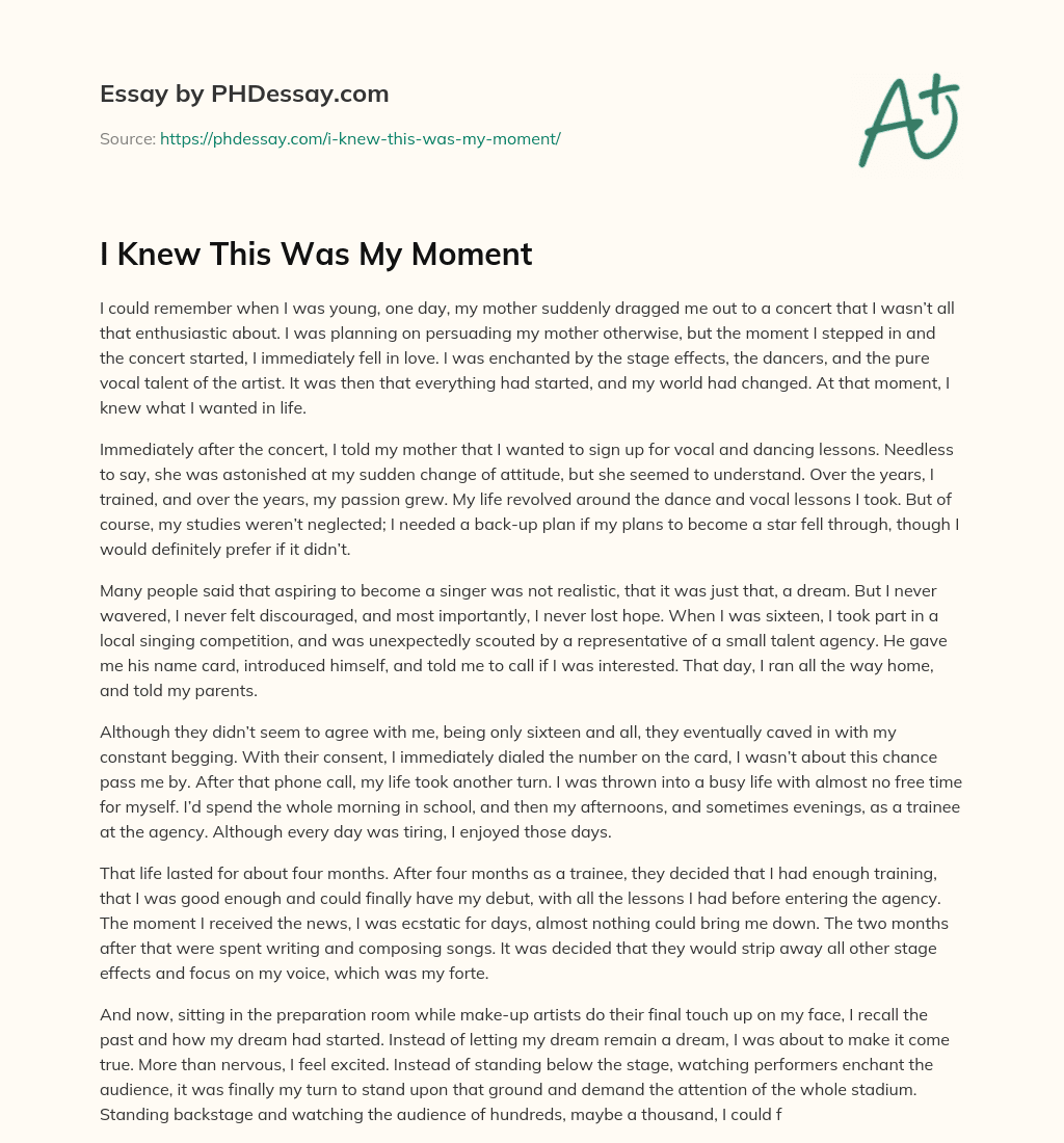 I Knew This Was My Moment essay