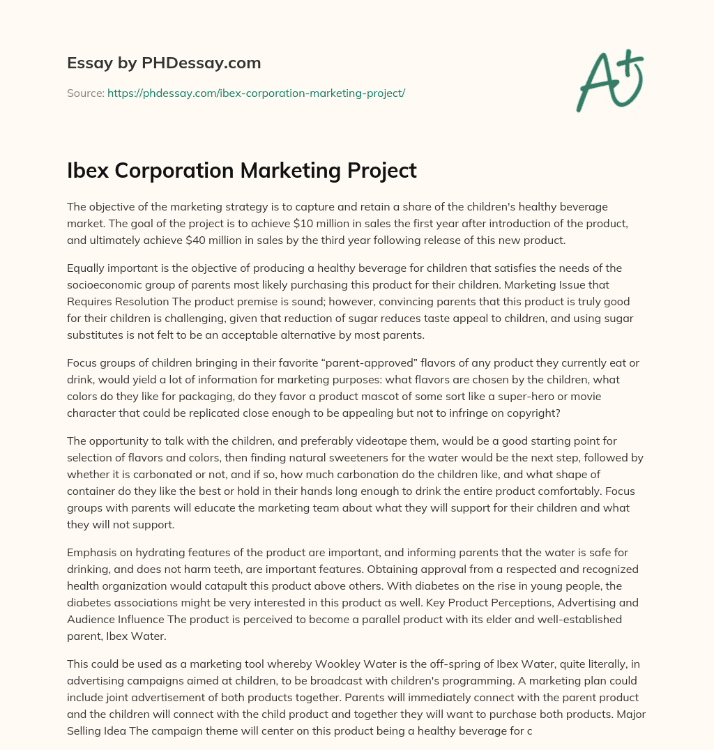 Ibex Corporation Marketing Project essay
