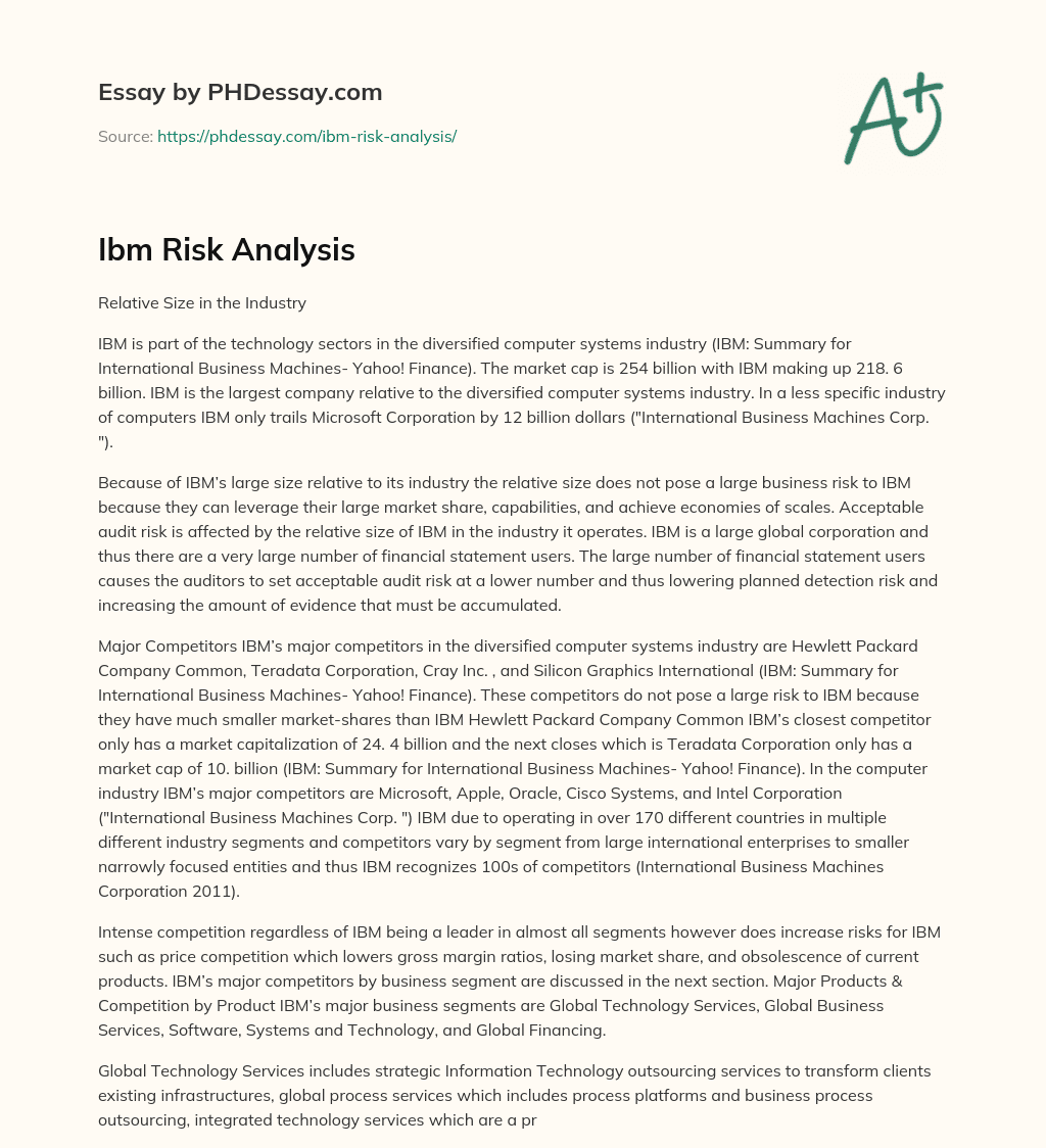 Ibm Risk Analysis essay