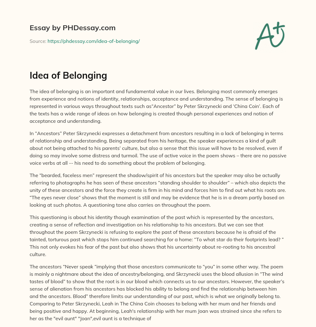 Idea of Belonging essay
