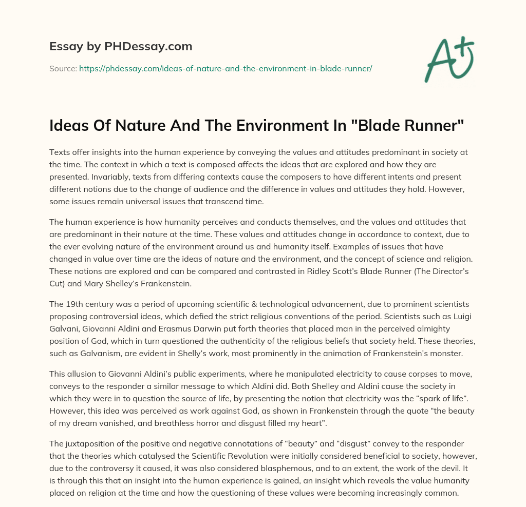 Ideas Of Nature And The Environment In “Blade Runner” essay