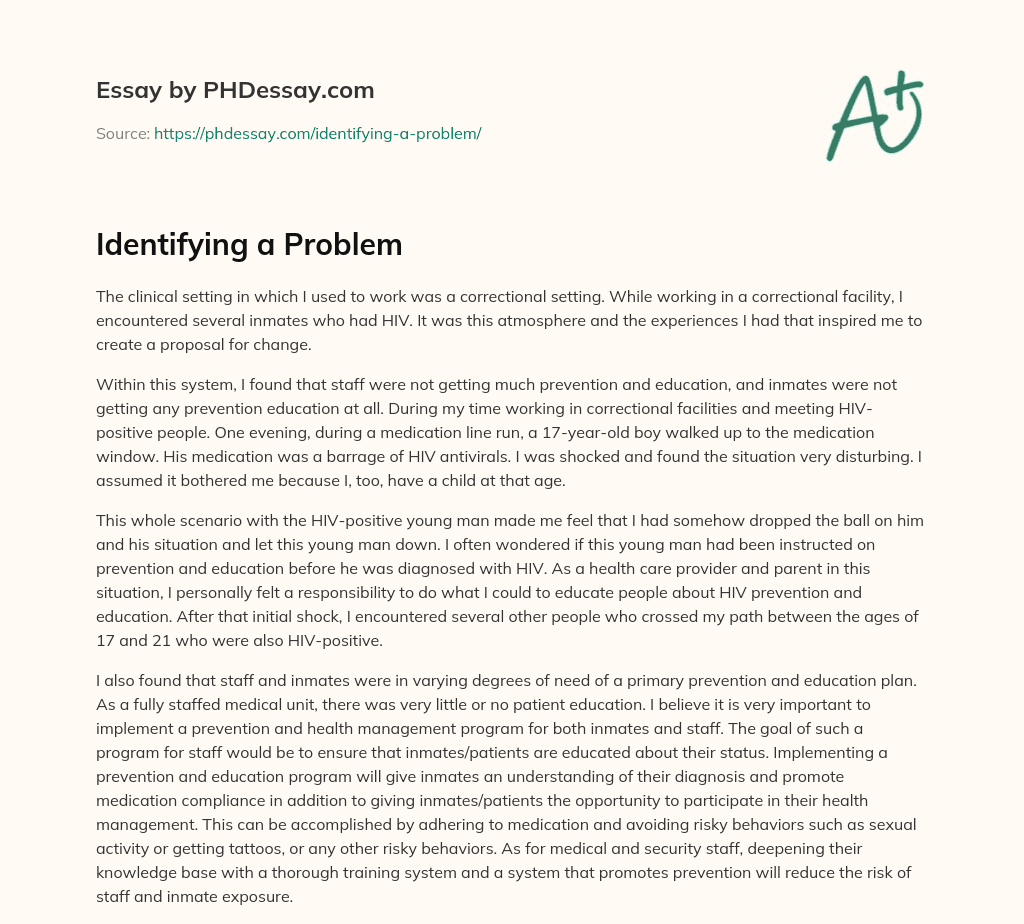 Identifying a Problem essay