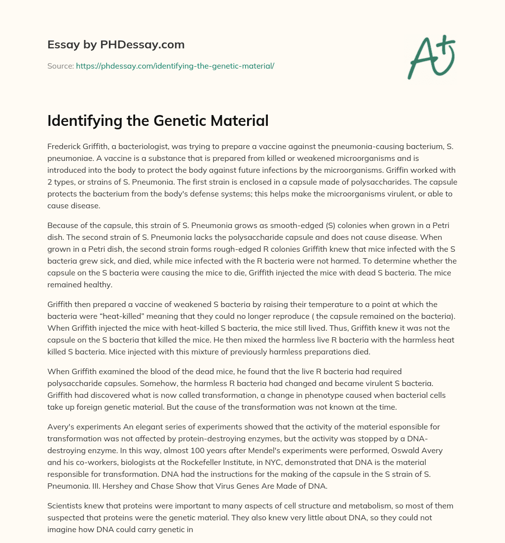 Identifying the Genetic Material essay