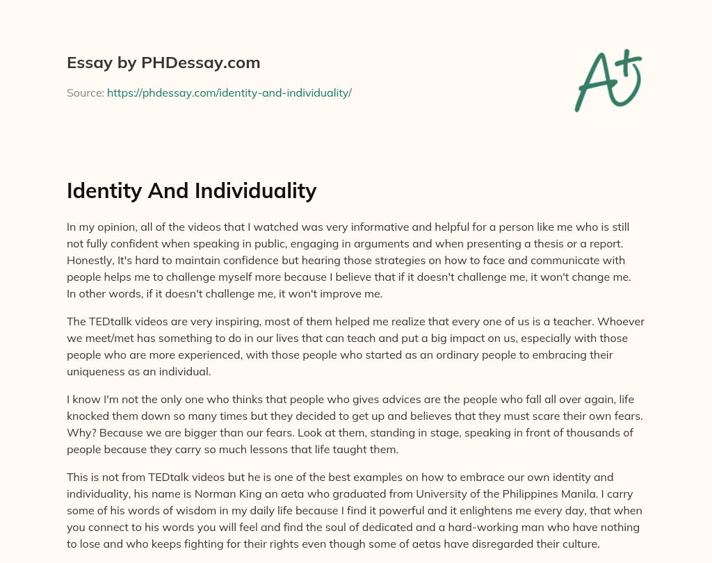 Identity And Individuality essay