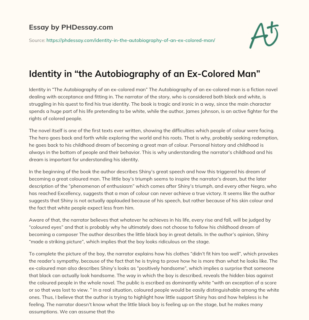 Identity in “the Autobiography of an Ex-Colored Man” essay