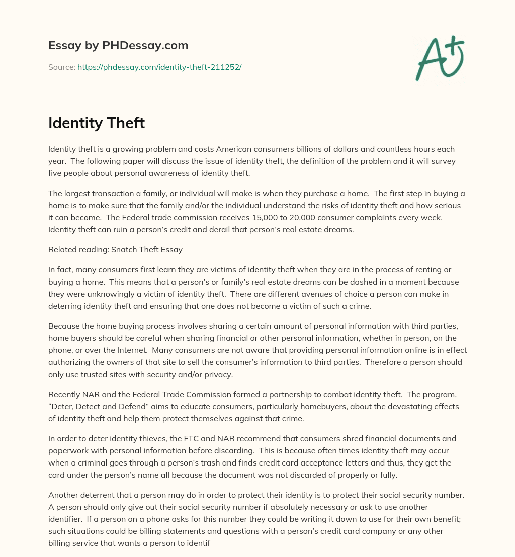 Identity Theft essay