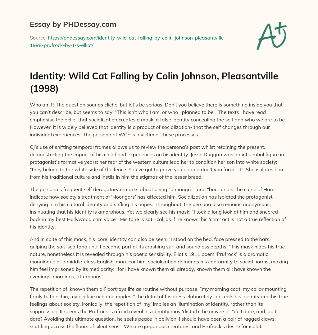 Identity: Wild Cat Falling by Colin Johnson, Pleasantville (1998) essay