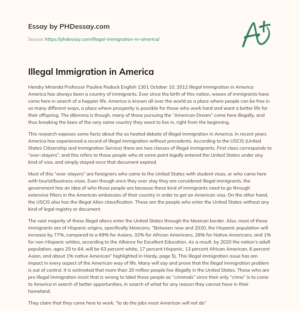 Illegal Immigration in America essay