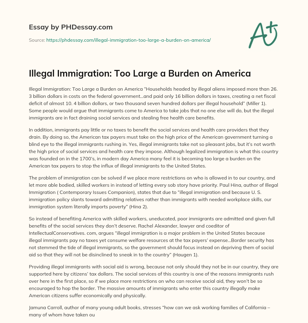 Illegal Immigration: Too Large a Burden on America essay