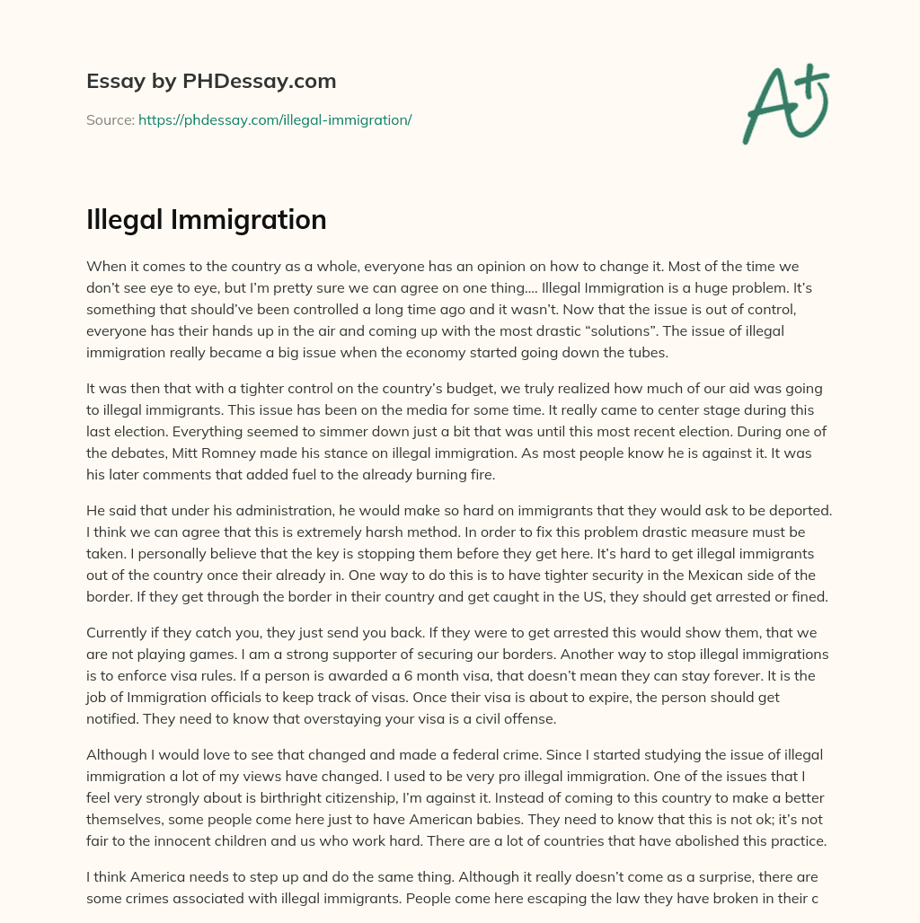 Illegal Immigration essay