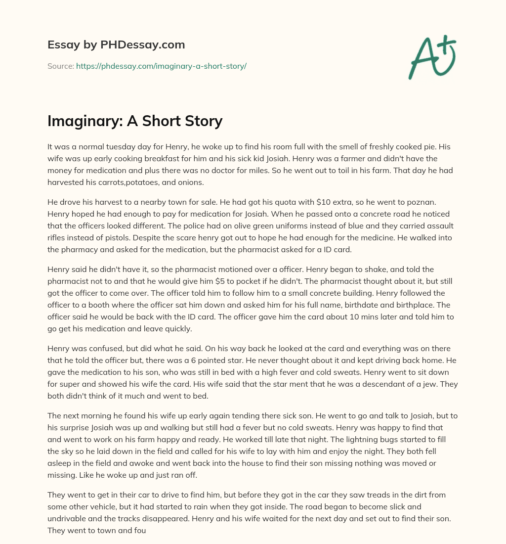 Imaginary: A Short Story essay