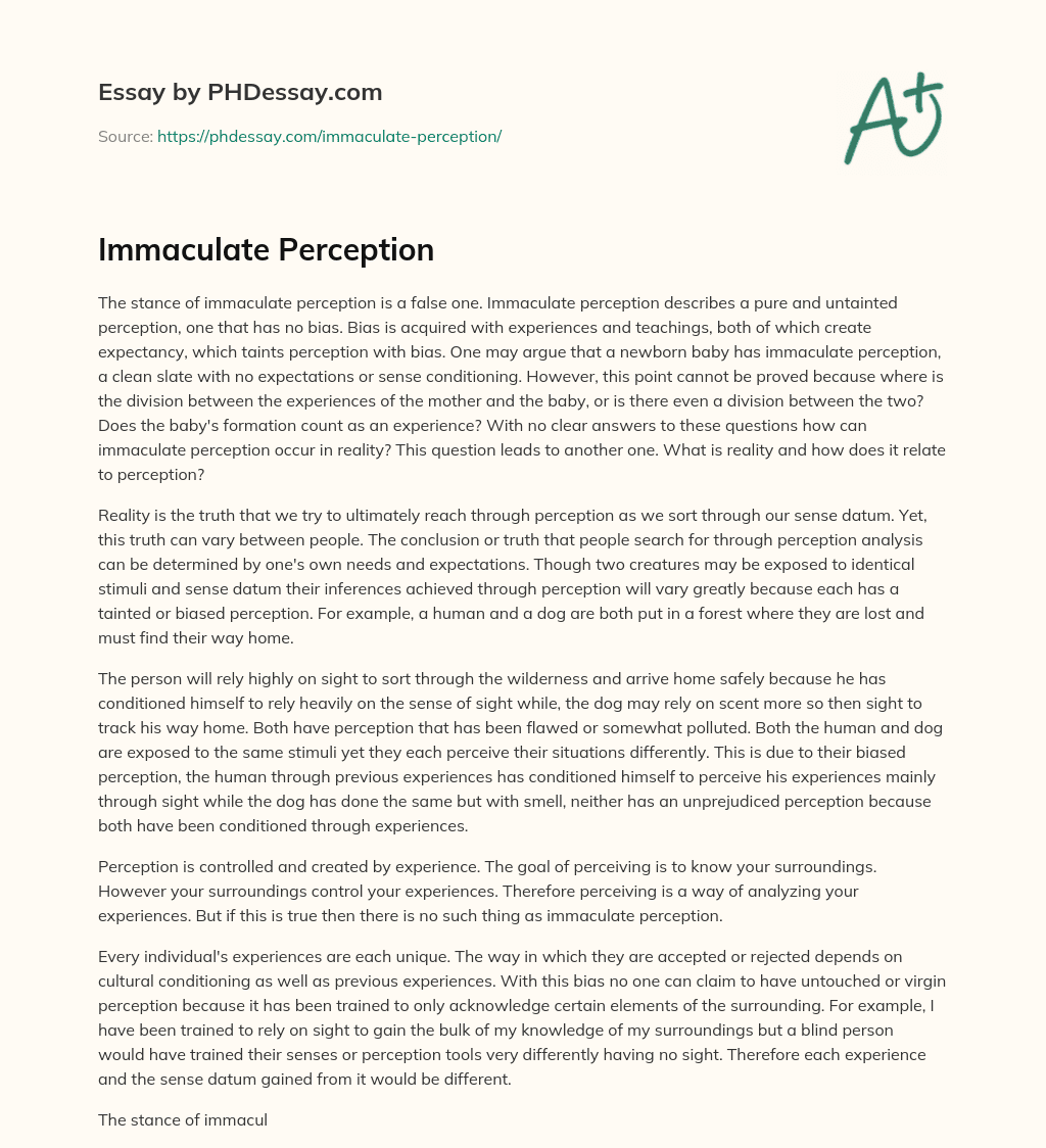 Immaculate Perception essay