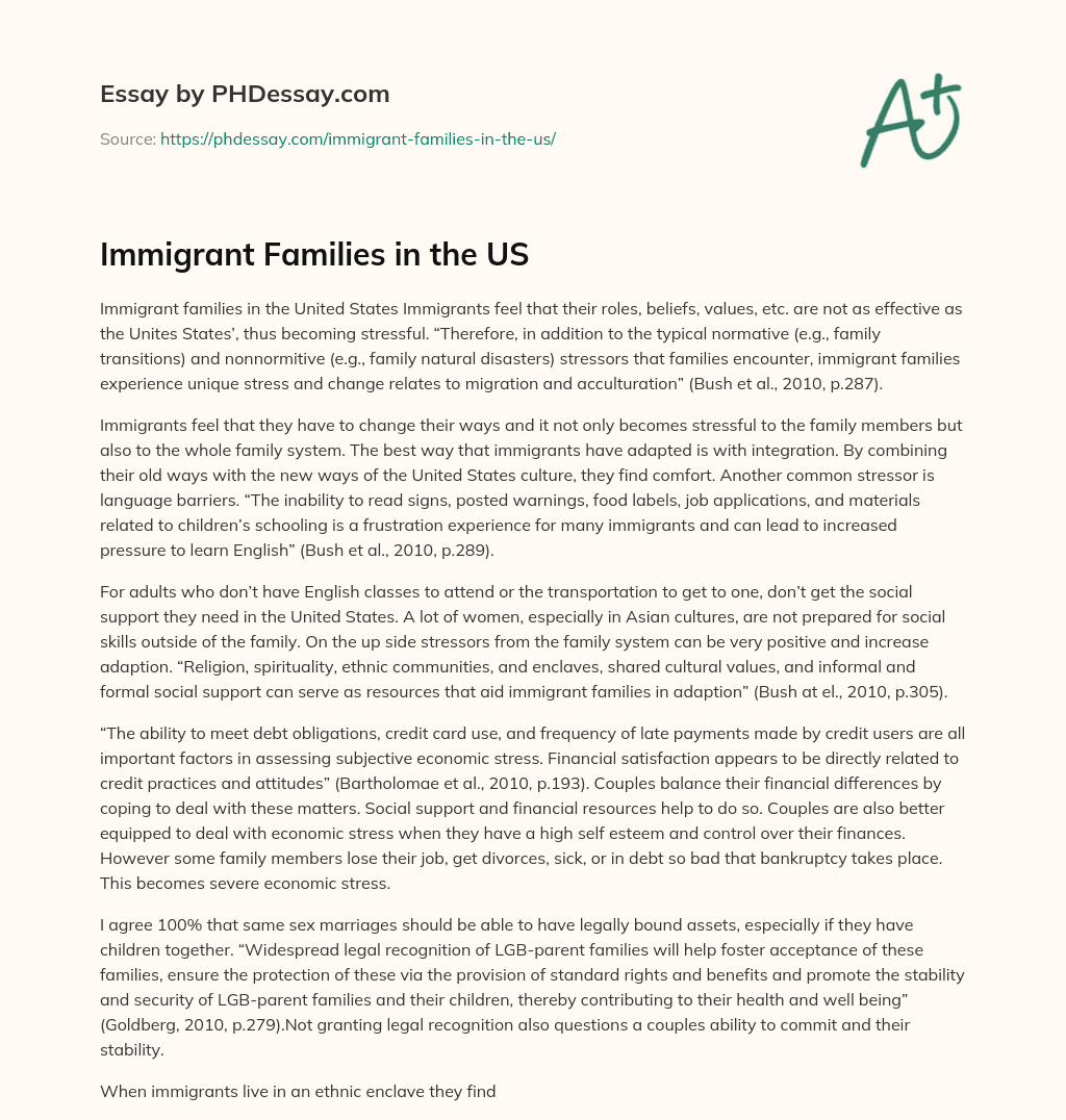 Immigrant Families in the US essay