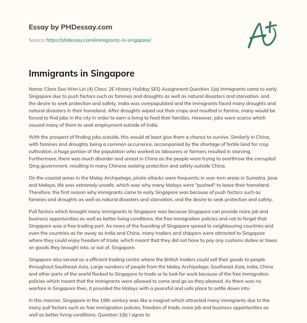 Immigrants in Singapore essay