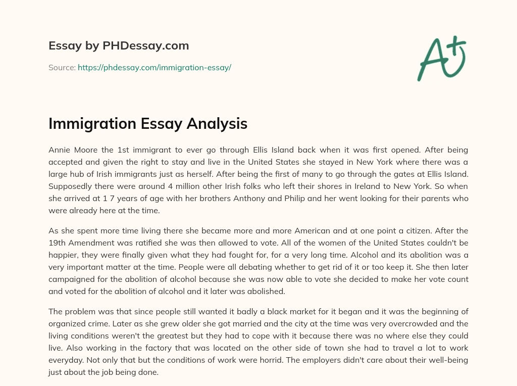 Immigration Essay Analysis essay