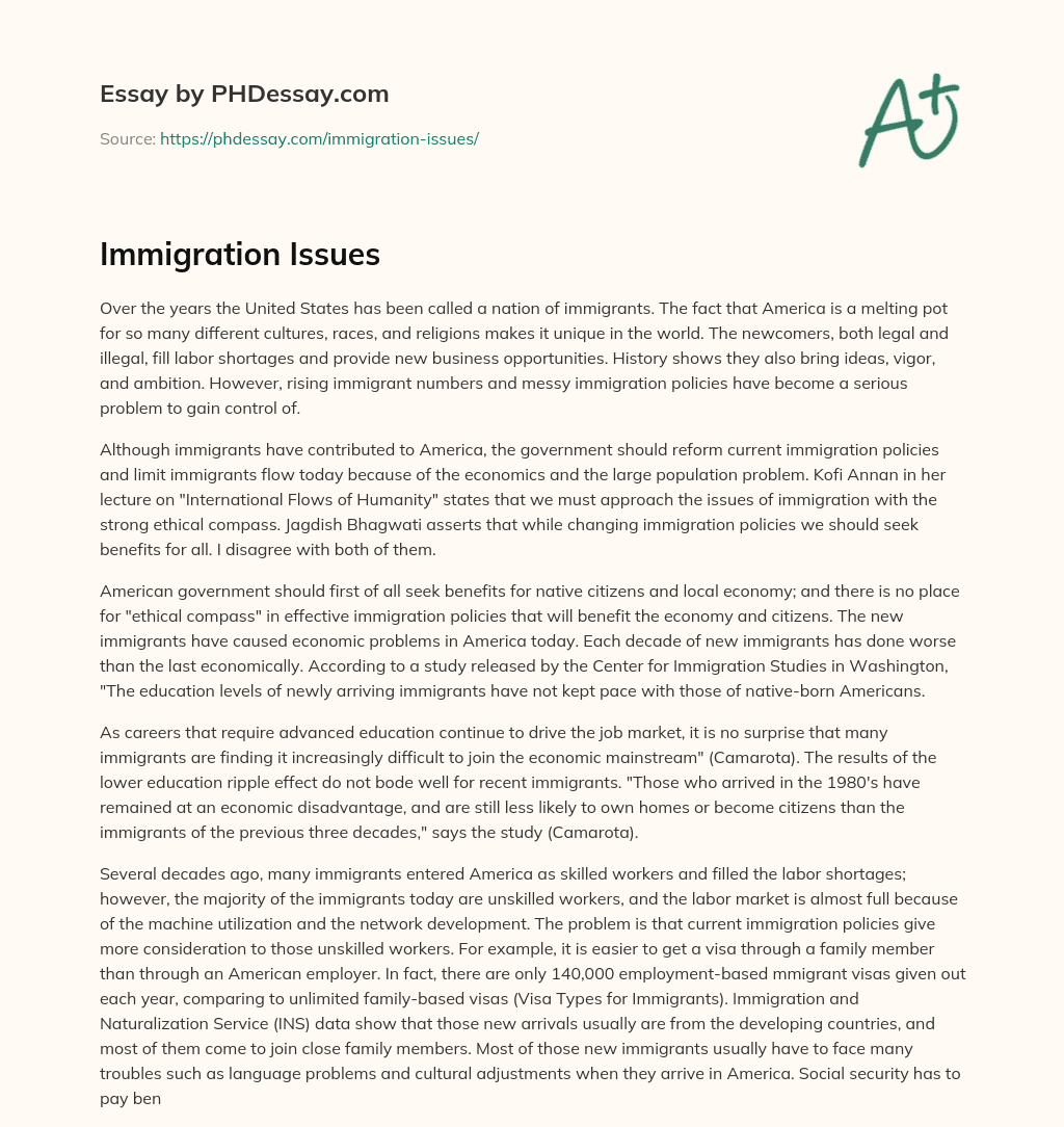 Immigration Issues essay