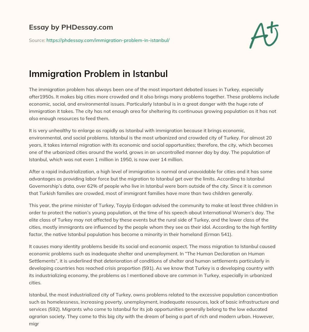 Immigration Problem in Istanbul essay