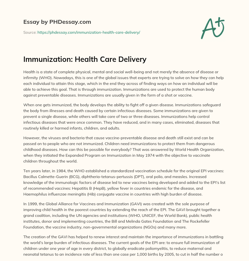 Immunization: Health Care Delivery essay