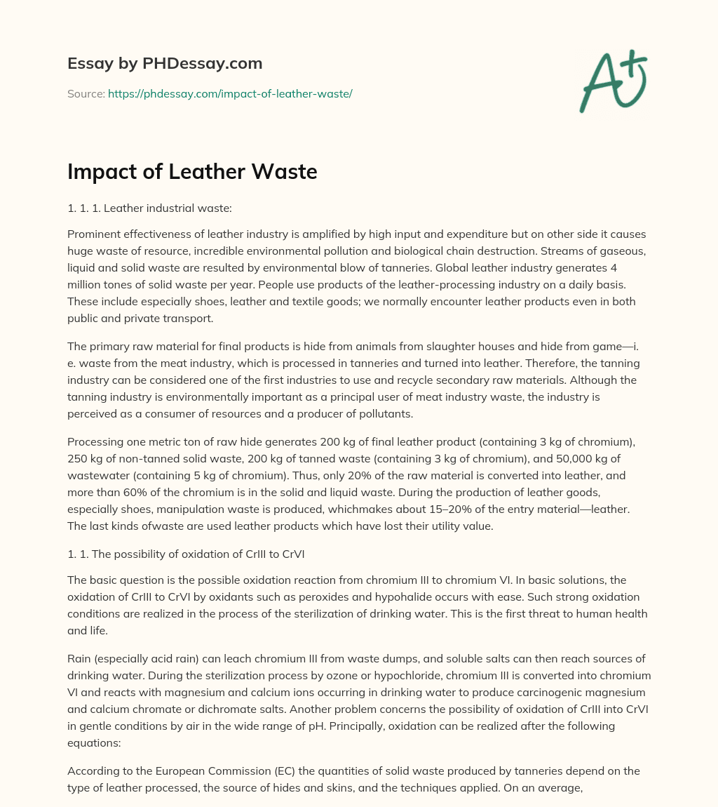 Impact of Leather Waste essay