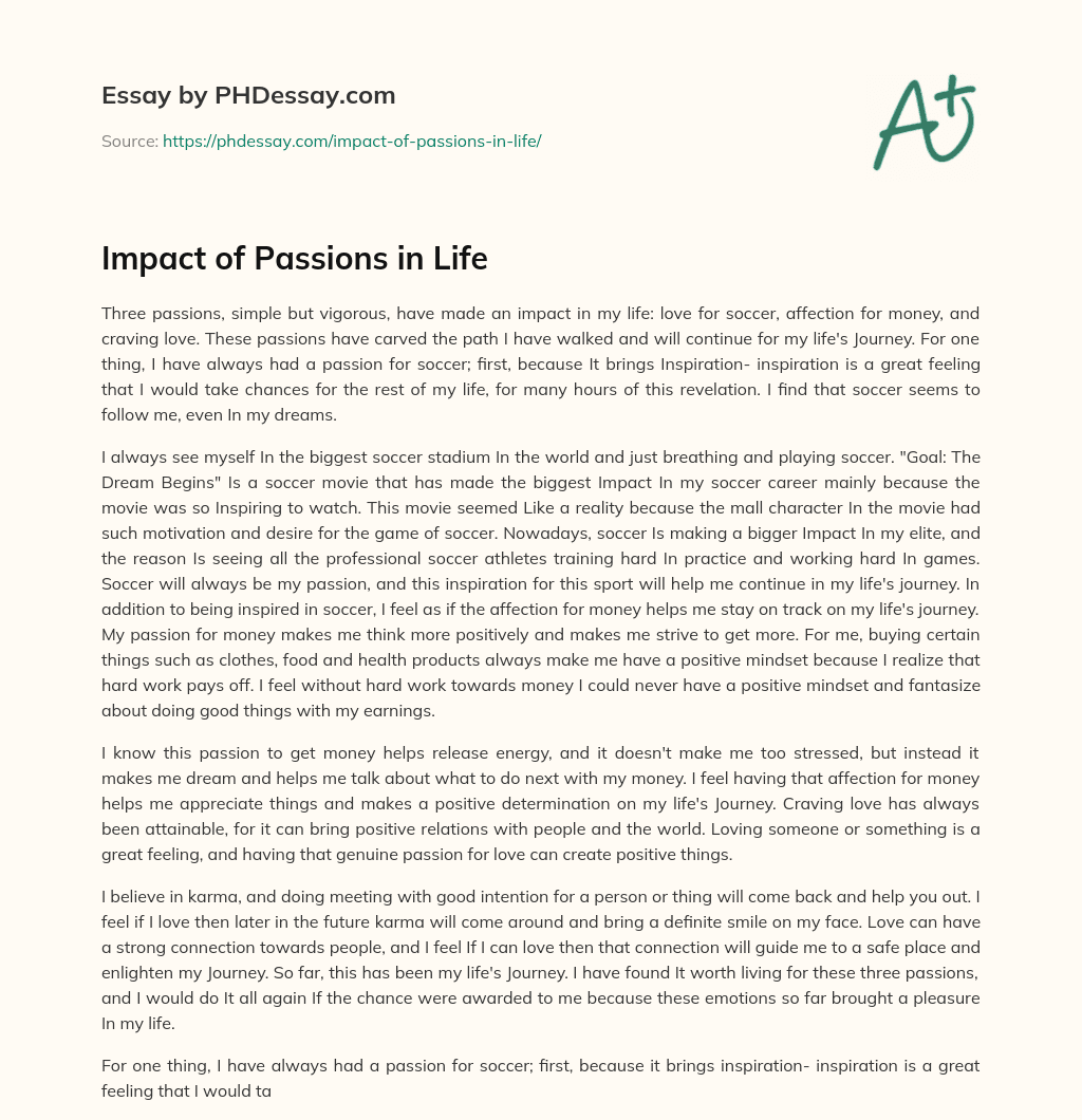Impact of Passions in Life essay