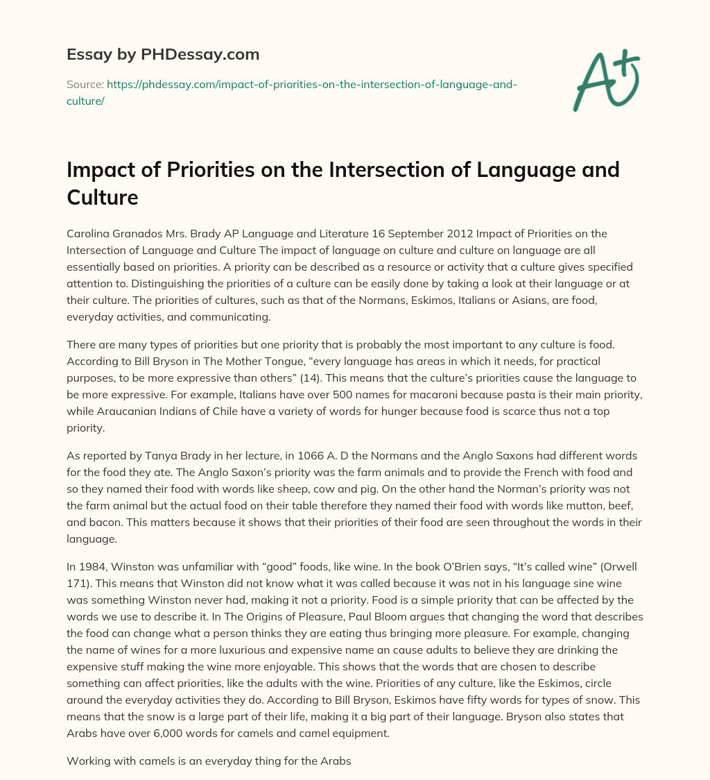 Impact of Priorities on the Intersection of Language and Culture essay
