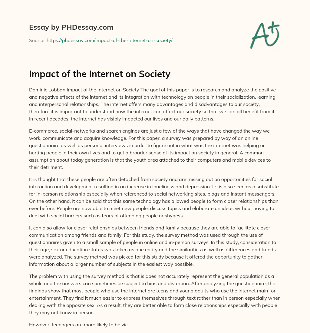 essay on internet and society