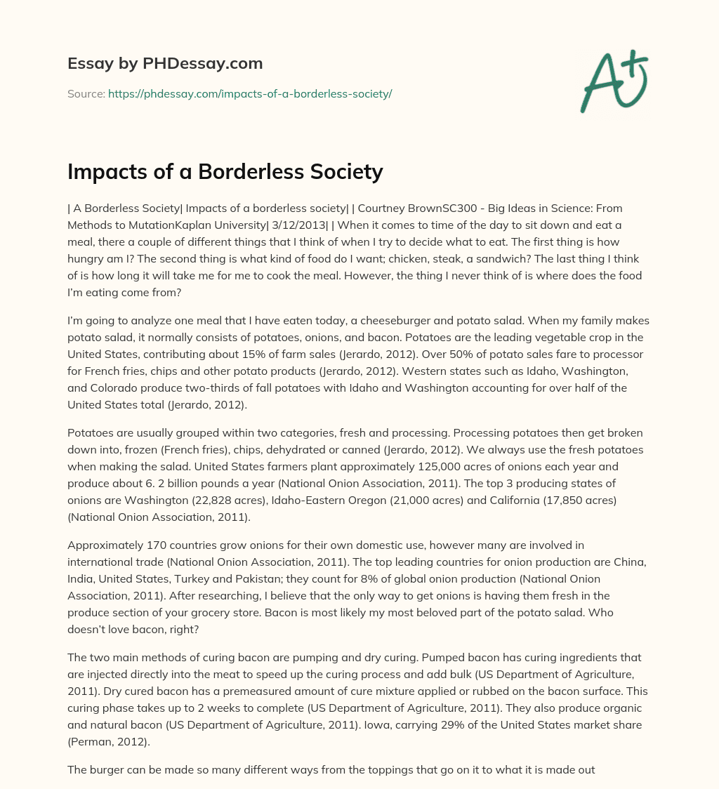 Impacts of a Borderless Society essay