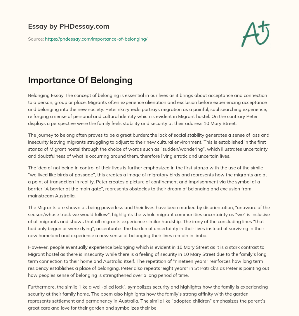 Importance Of Belonging essay