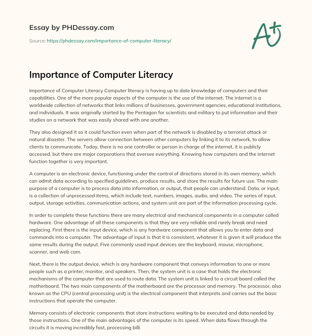 essay on computer literacy